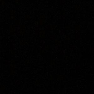 Meet your Posher, Laila